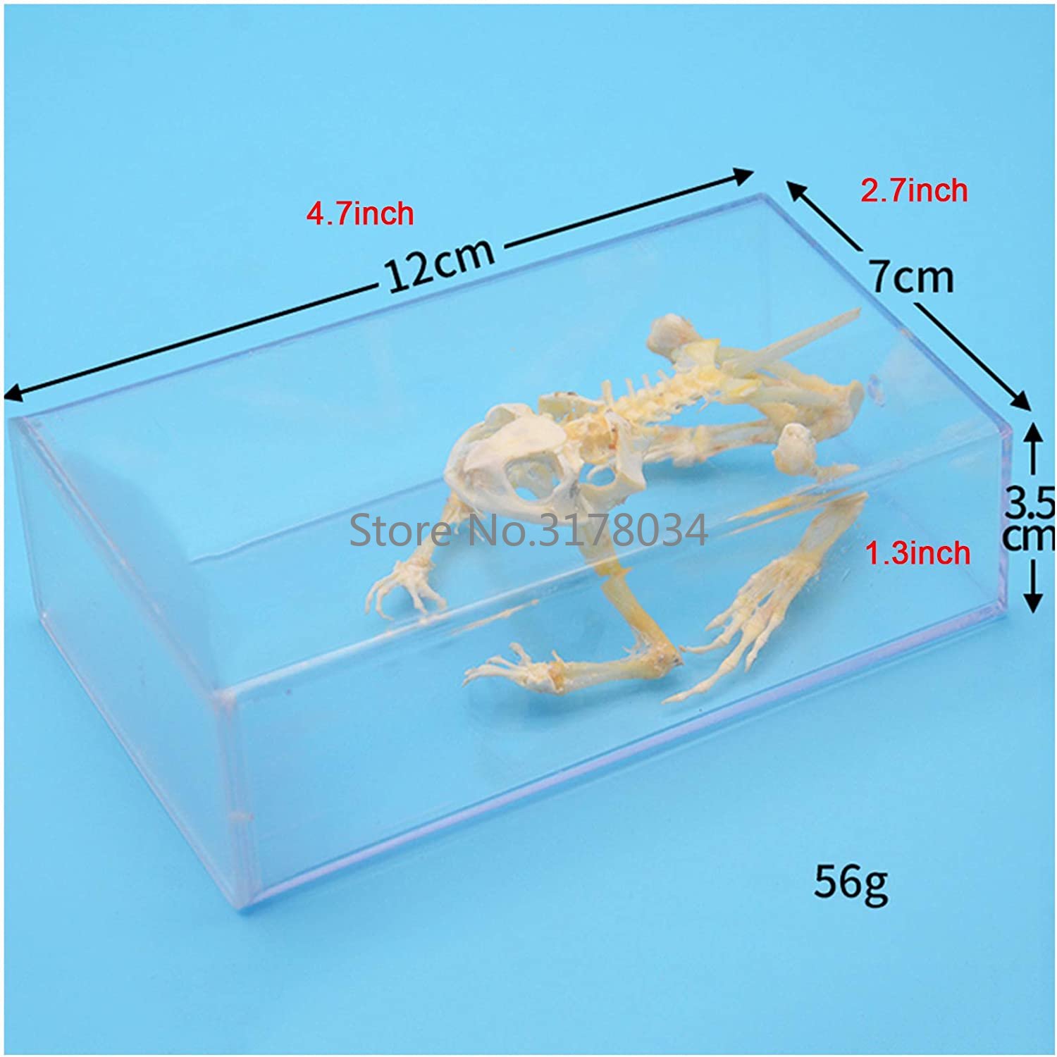 Modèles de Modules Animaux de  - Art And Craft Science avis et prix