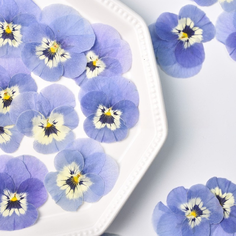 24 pièces, véritables fleurs d - Art Craft 2 Year Olds avis et prix