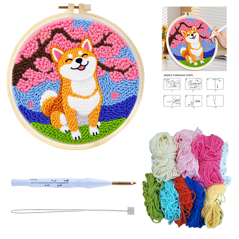 Kits de démarrage pour broderi - Embroidery Hoop Kit avis et prix